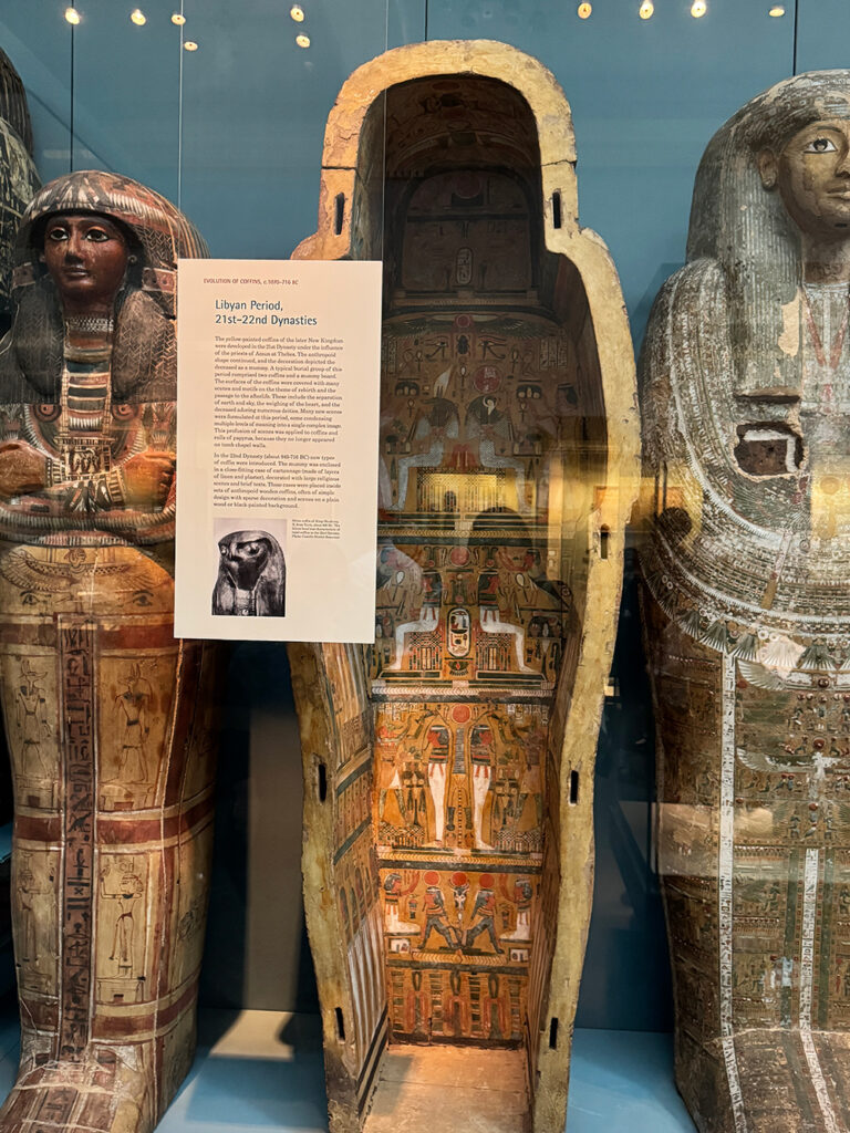 ふたが外され中が見える状態のエジプトの棺