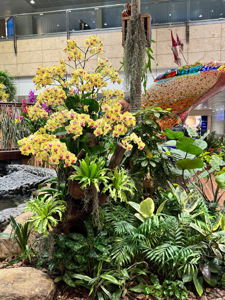 緑が多く配置されたチャンギ空港のエリア