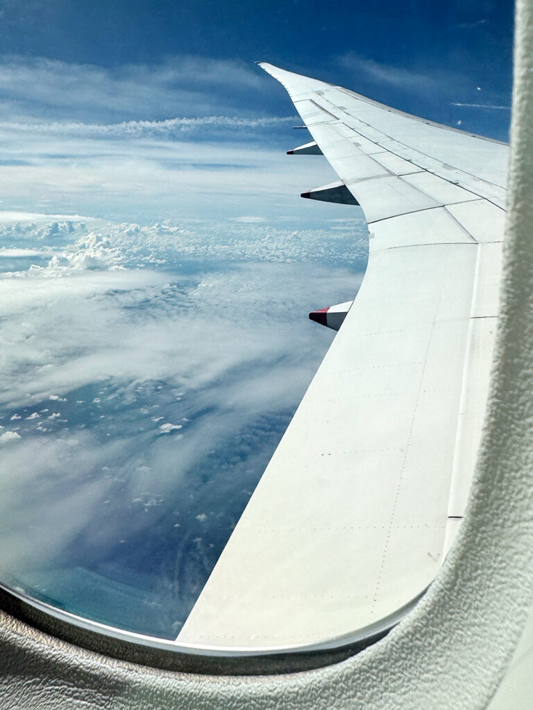 チャンギから日本へ向かう飛行機から見た空の景色